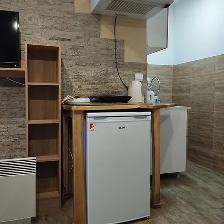 Lela Josanicka Banja