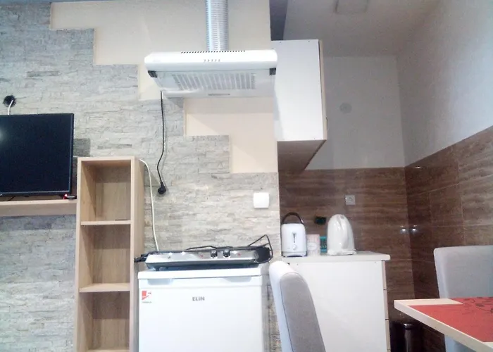 Lela Appartement Josanicka Banja