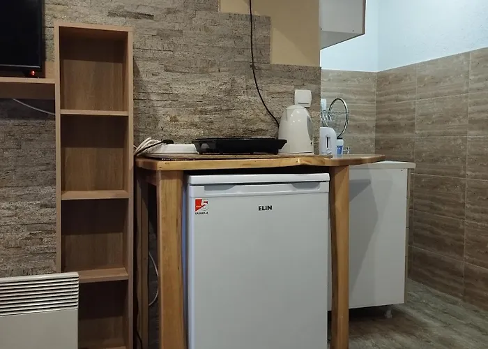 Lela Josanicka Banja