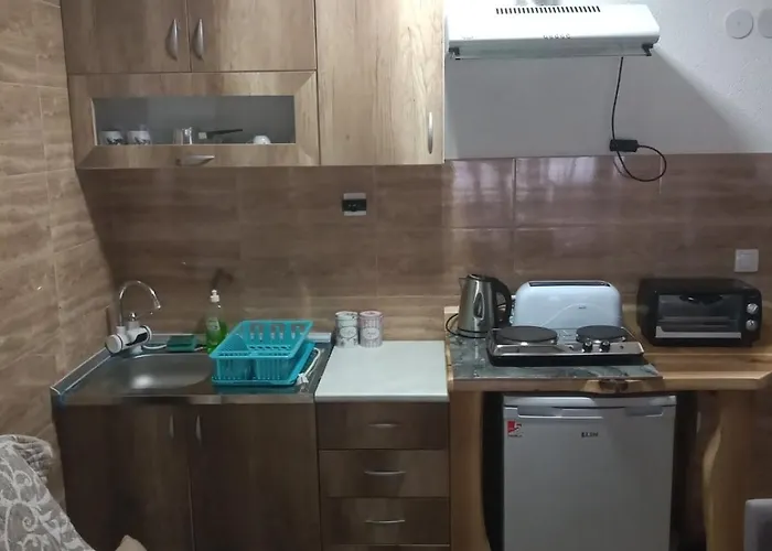 Lela Josanicka Banja